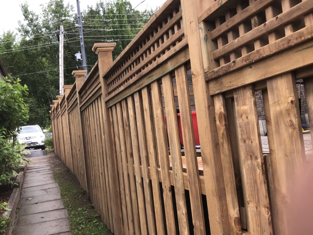 Red Seal endorsed carpenter performing professional renovation work
